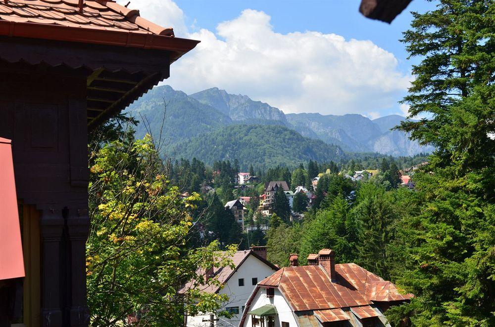 Vila Arizto Sinaia Bagian luar foto