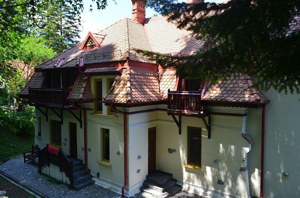 Vila Arizto Sinaia Bagian luar foto