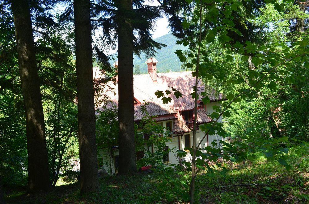 Vila Arizto Sinaia Bagian luar foto