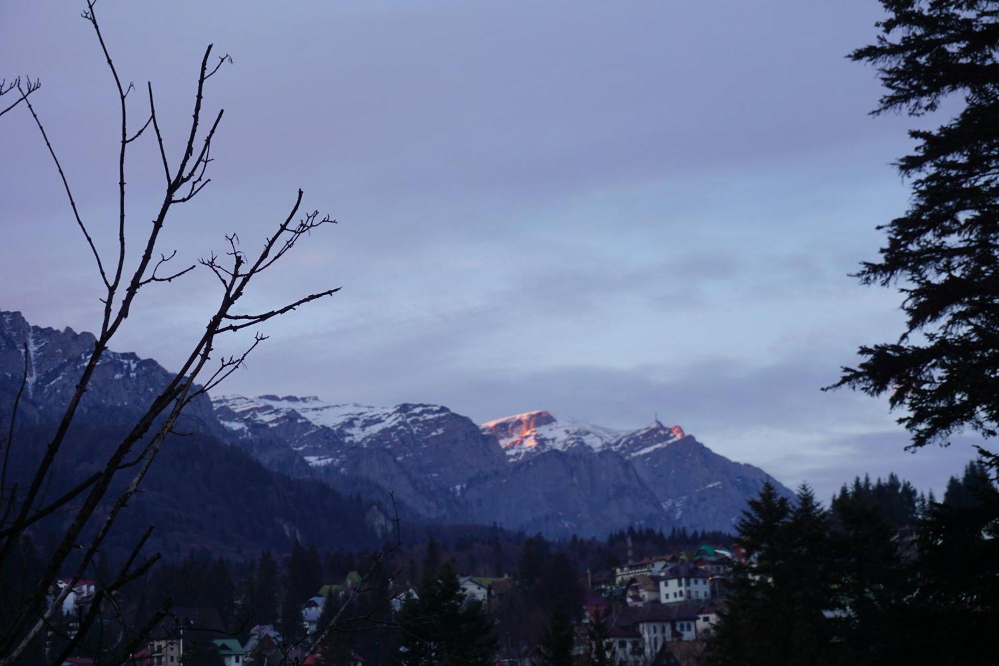 Vila Arizto Sinaia Ruang foto