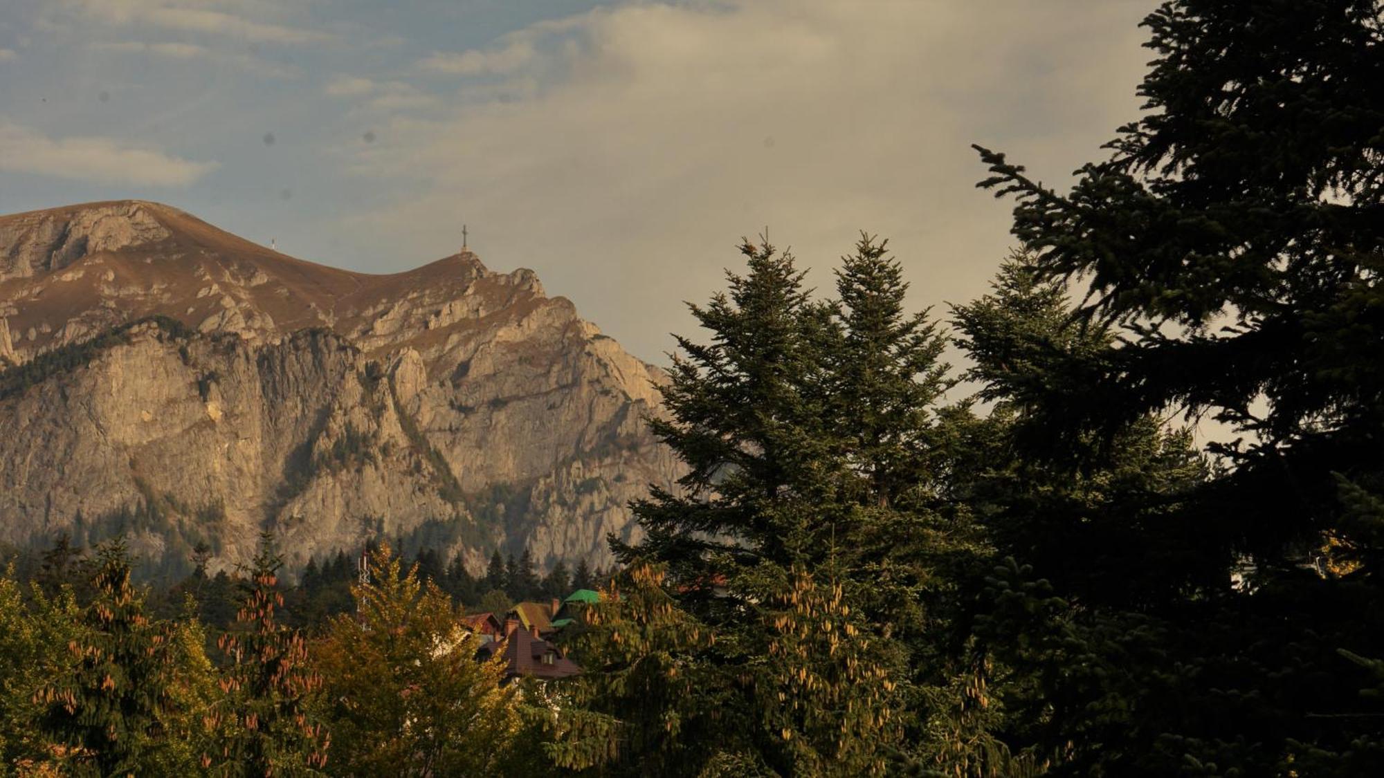 Vila Arizto Sinaia Ruang foto