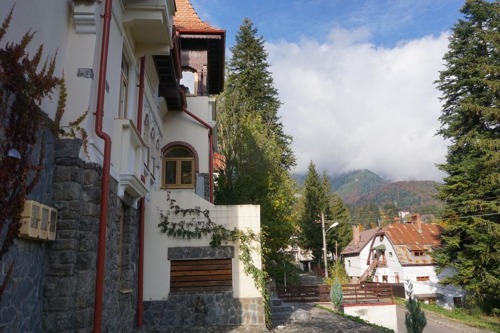 Vila Arizto Sinaia Bagian luar foto
