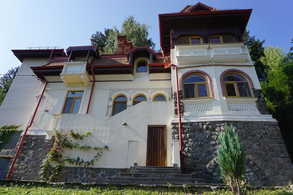 Vila Arizto Sinaia Bagian luar foto