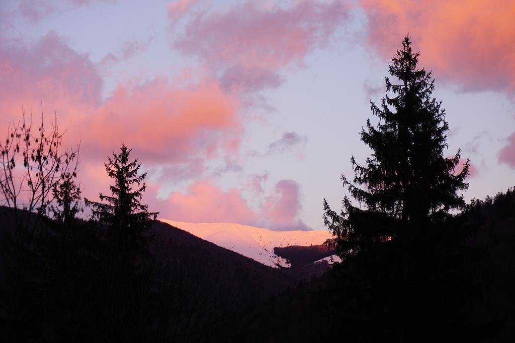 Vila Arizto Sinaia Bagian luar foto