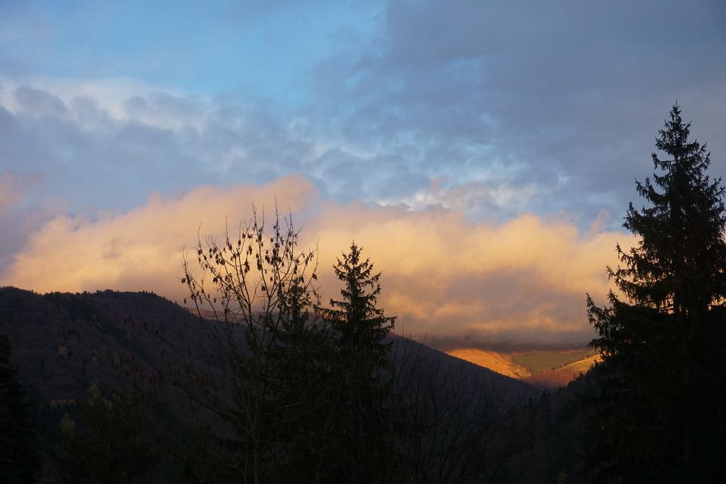 Vila Arizto Sinaia Bagian luar foto