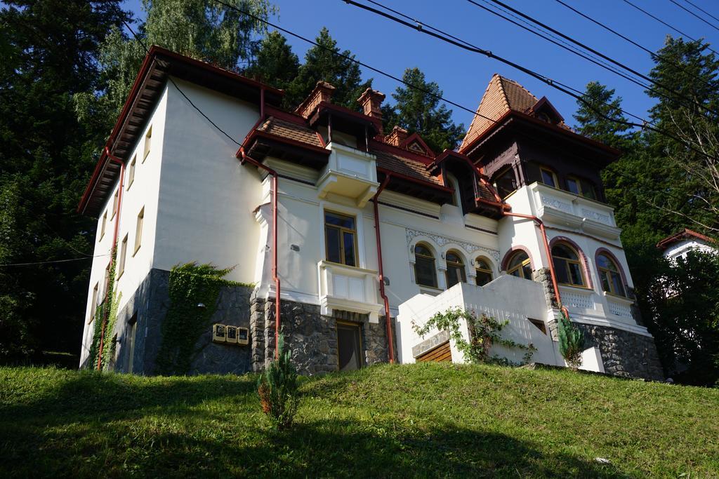 Vila Arizto Sinaia Bagian luar foto