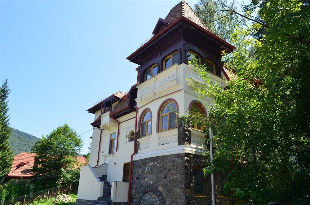 Vila Arizto Sinaia Bagian luar foto