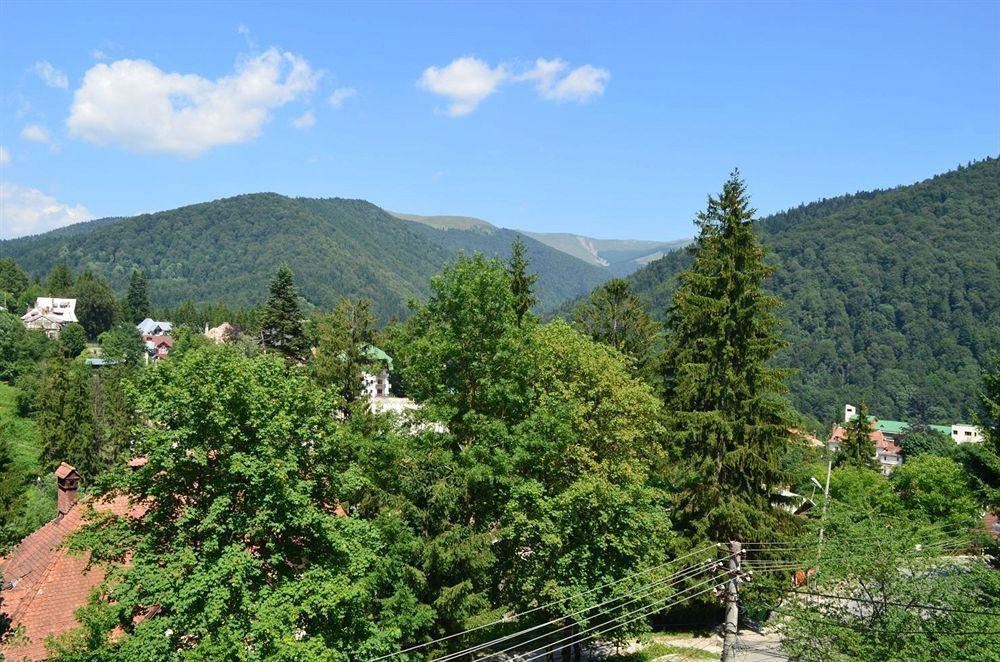 Vila Arizto Sinaia Bagian luar foto
