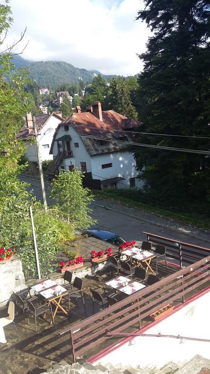 Vila Arizto Sinaia Bagian luar foto