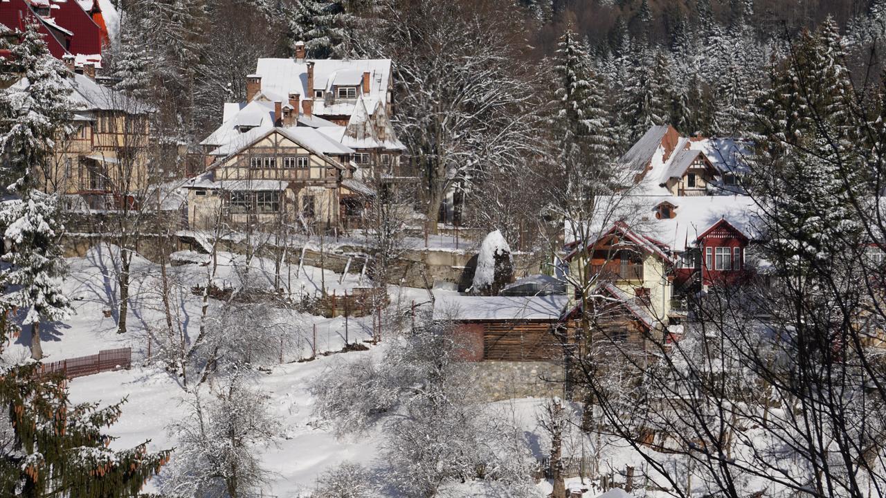 Vila Arizto Sinaia Bagian luar foto