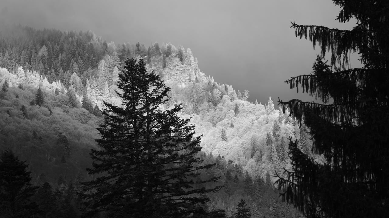 Vila Arizto Sinaia Bagian luar foto