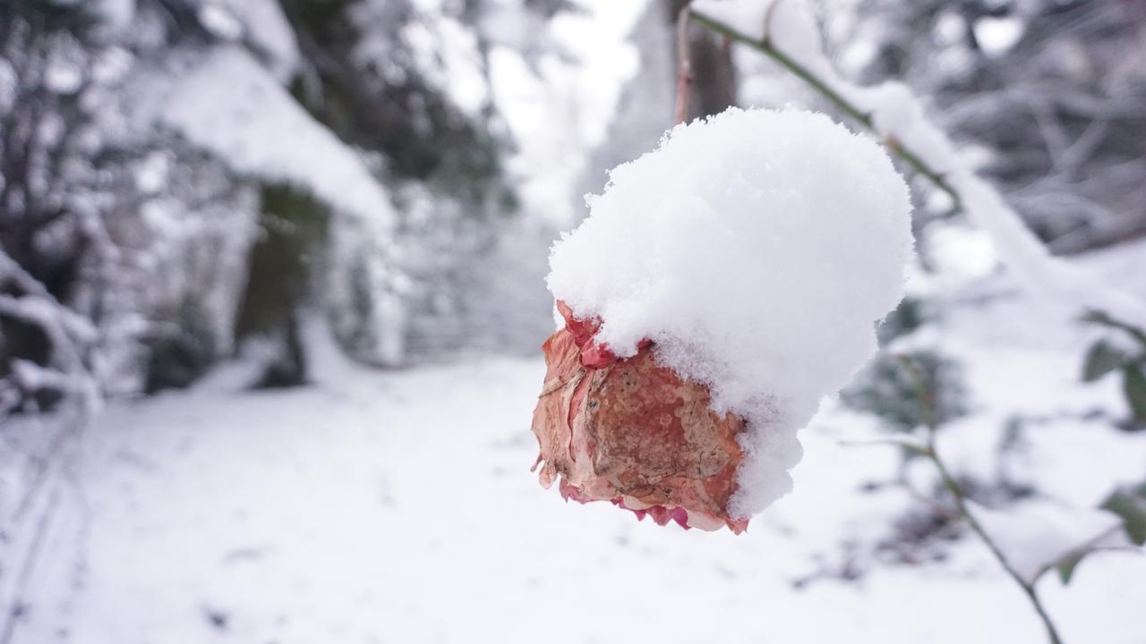 Vila Arizto Sinaia Bagian luar foto